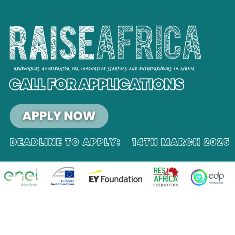 RAISEAfrica 2025: Empowering African Renewable Energy Startups